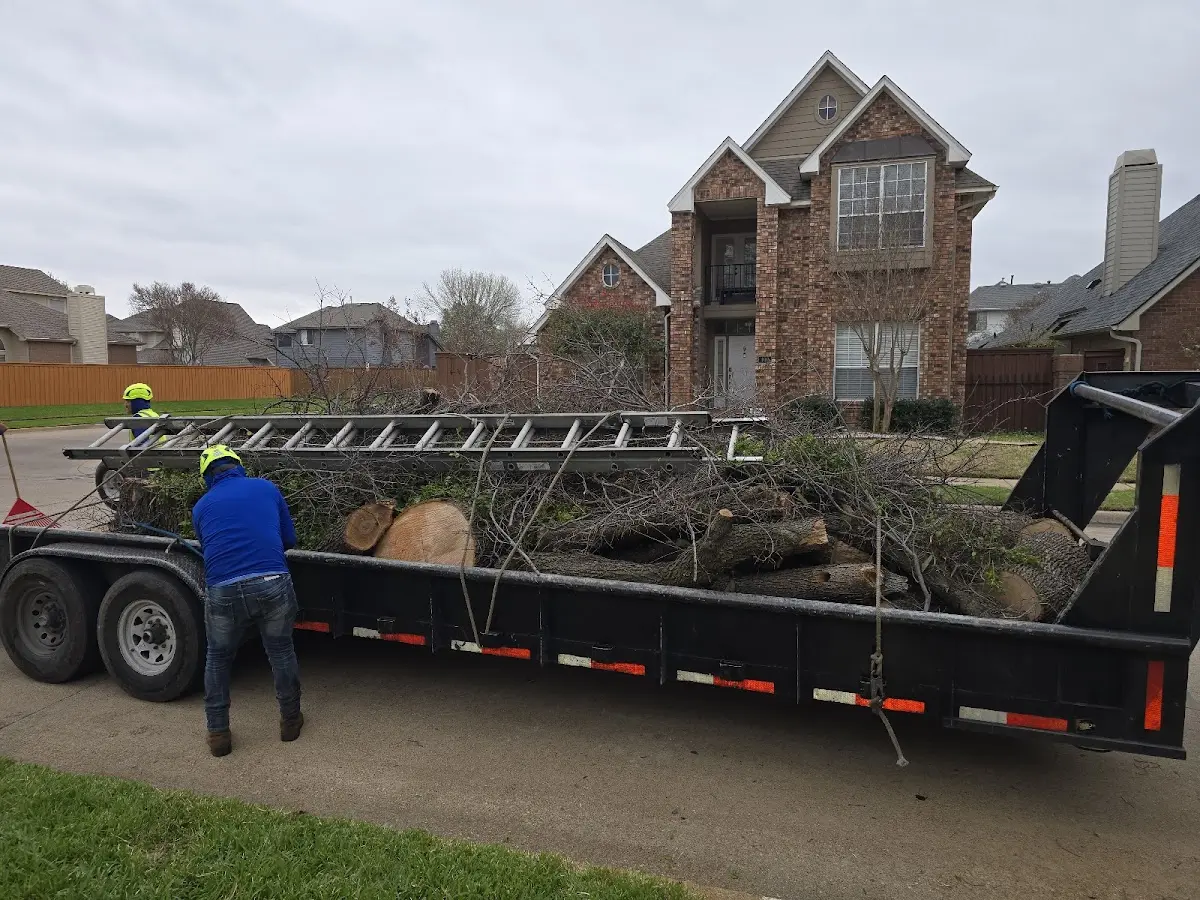 Expert Tree Removal with proper safety equipment in West Bloomfield
